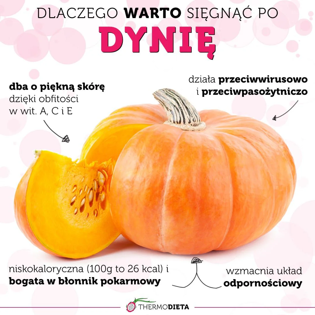 infografika dynia