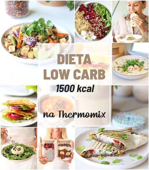 dieta low carb na thermomix