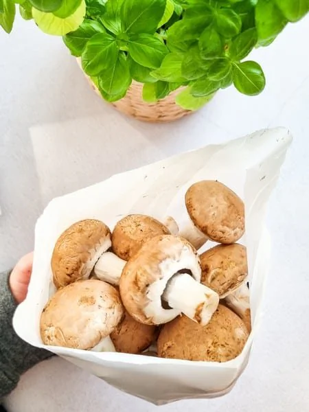 przechowywanie grzybów w lodówce